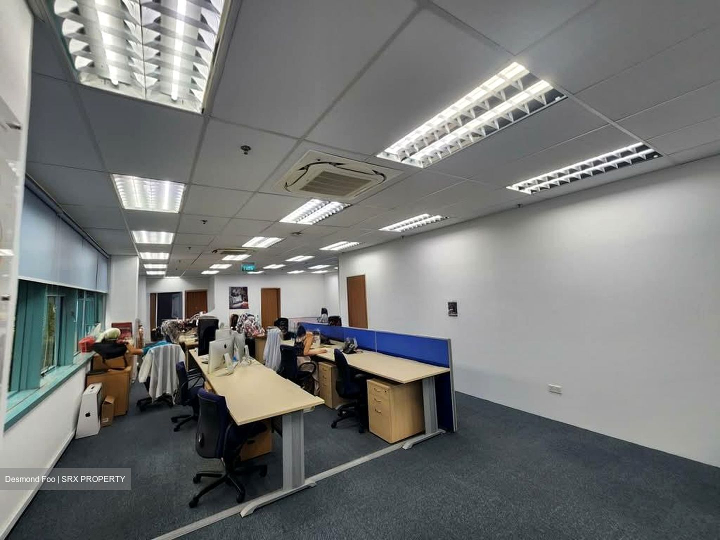 Kallang Sector (D13), Factory #576584191